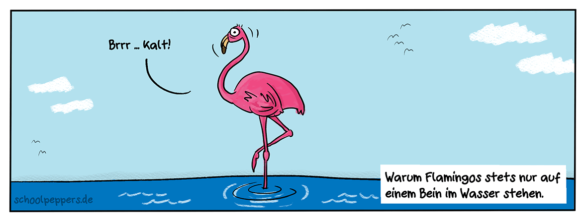 Die Wahrheit über Flamingos.